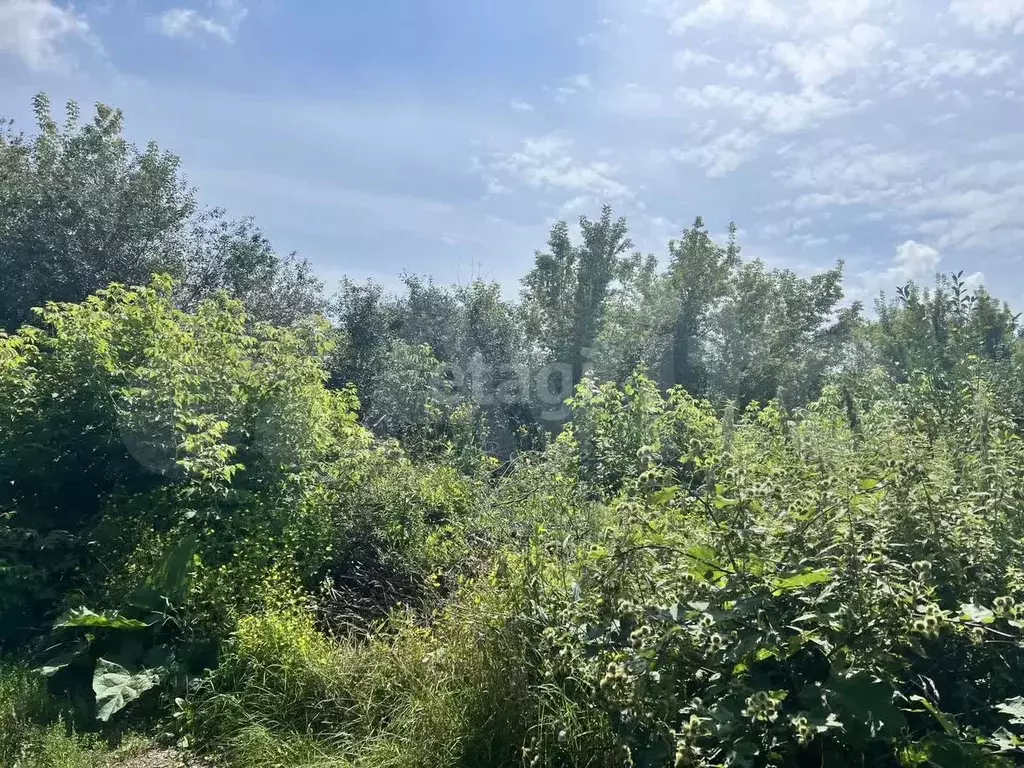 Участок 4,3 сот. (СНТ, ДНП) - Фото 1