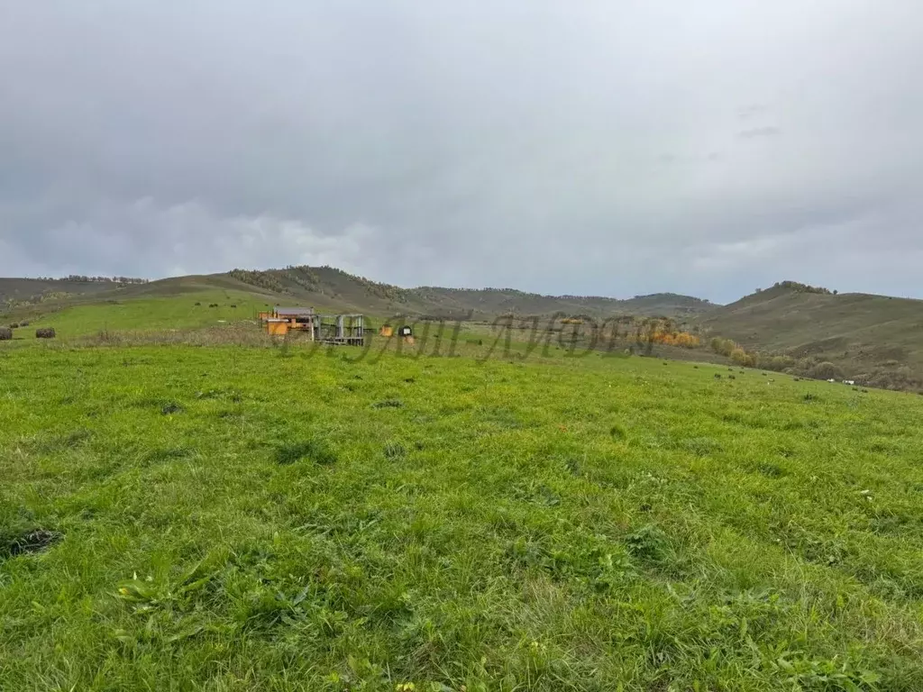 Участок в Алтайский край, Алтайский район, Айский сельсовет, с. Ая  ... - Фото 2