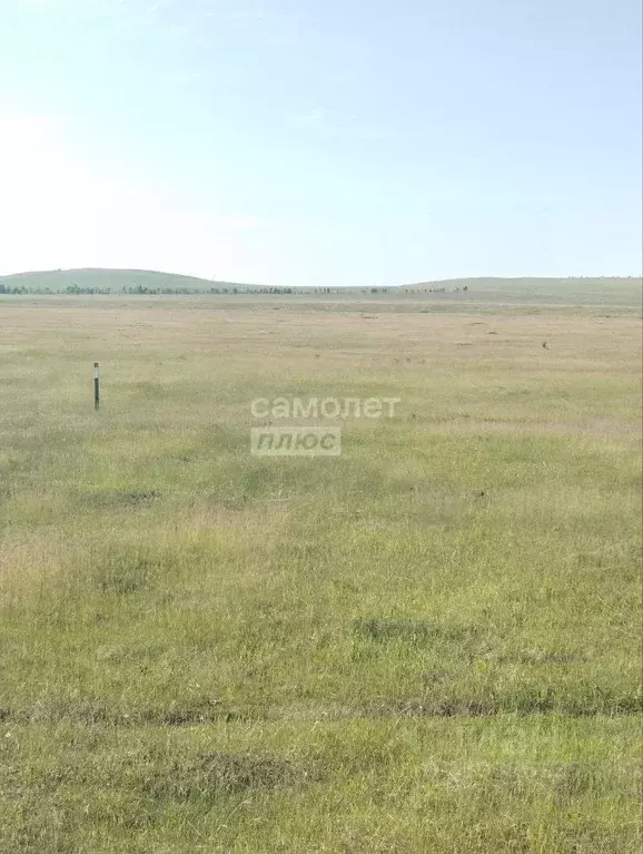 Участок в Иркутская область, Эхирит-Булагатский район, пос. ... - Фото 0