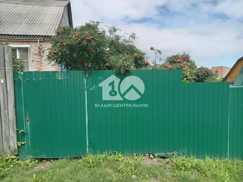 Дом в Новосибирская область, Новосибирский район, с. Раздольное ул. ... - Фото 1