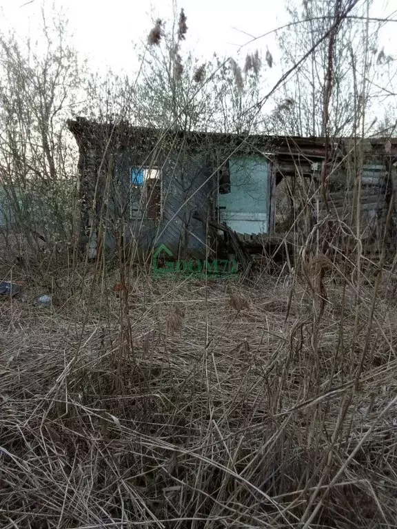 Участок в Тюменская область, Тобольск (5.6 м) - Фото 2