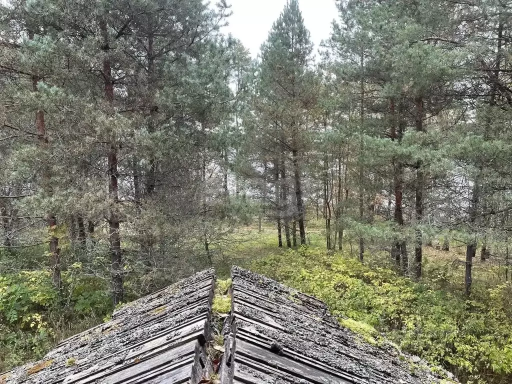 Дом в Псковская область, Себежское с/пос, д. Угаринка  (87 м) - Фото 1