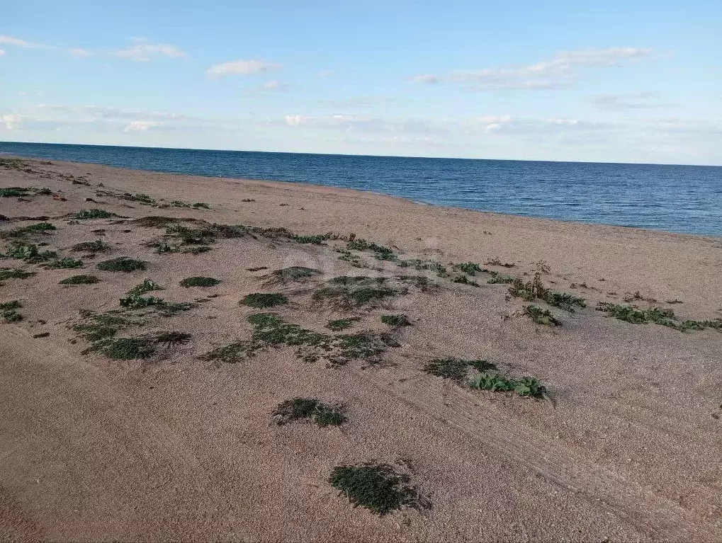 Участок в Крым, Ленинский район, Семисотское с/пос, с. Соляное ул. ... - Фото 0