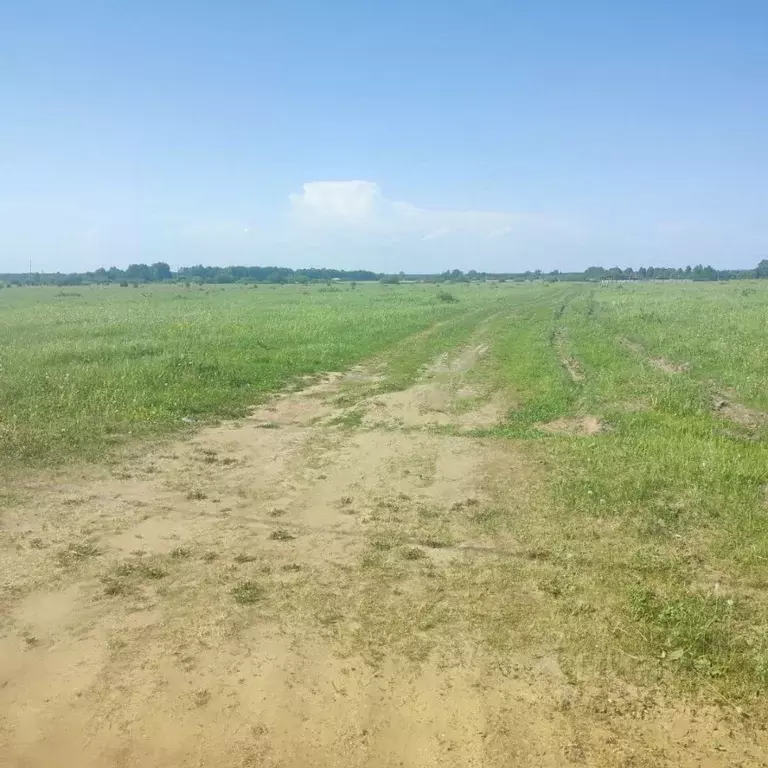 Участок в Пермский край, Пермский муниципальный округ, д. Качка ул. ... - Фото 2