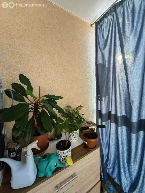 1-комнатная квартира: Сыктывкар, Октябрьский проспект, 222 (36.2 м) - Фото 2