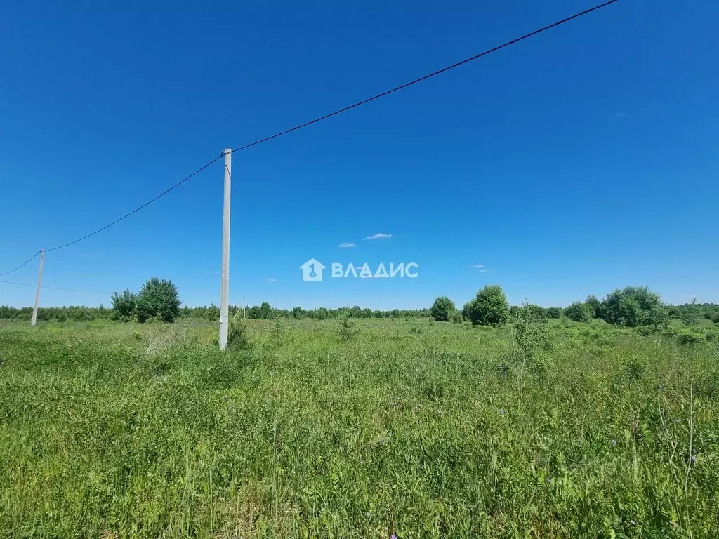 Участок в Владимирская область, Суздаль  (12.0 сот.) - Фото 2