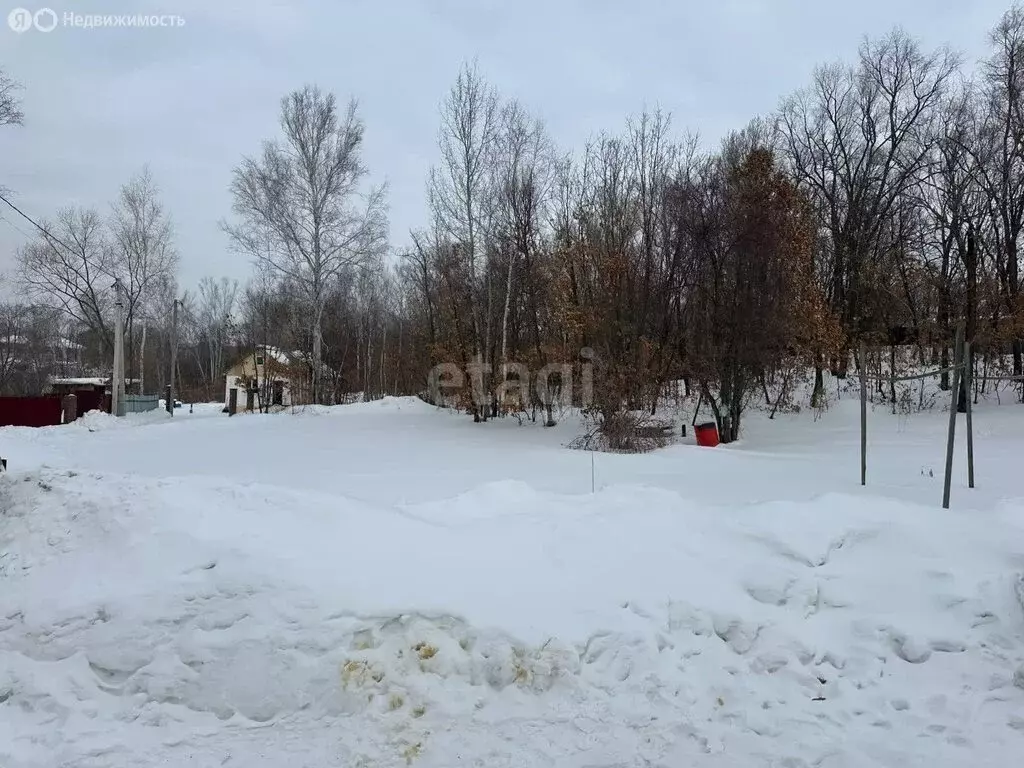 Участок в Амурская область, Благовещенский муниципальный округ, село ... - Фото 0