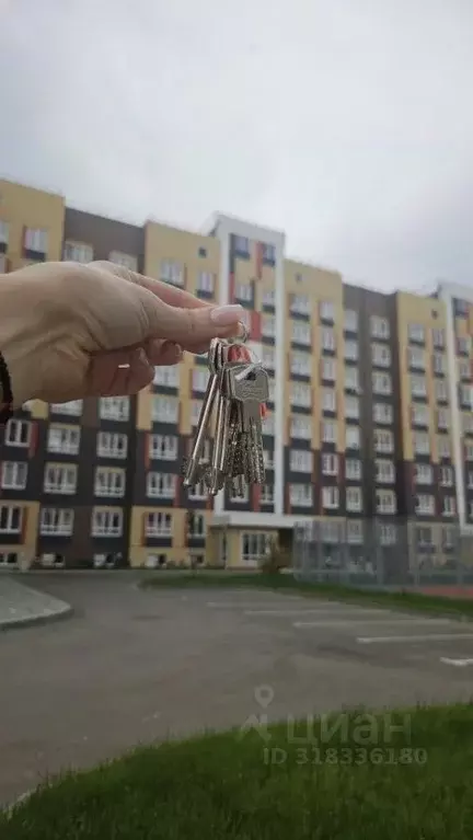 Студия Краснодарский край, Краснодар пос. Березовый, ул. Имени ... - Фото 1