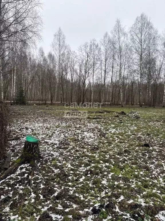 Участок в Московская область, Дмитровский муниципальный округ, пос. ... - Фото 1