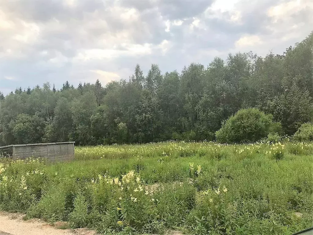 Участок в Москва д. Зверево, ул. Кубинская, 5 (12.6 сот.) - Фото 1