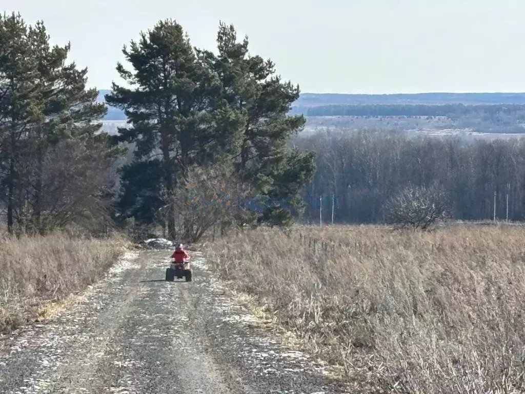 Участок в Нижегородская область, Богородский муниципальный округ, с. ... - Фото 0