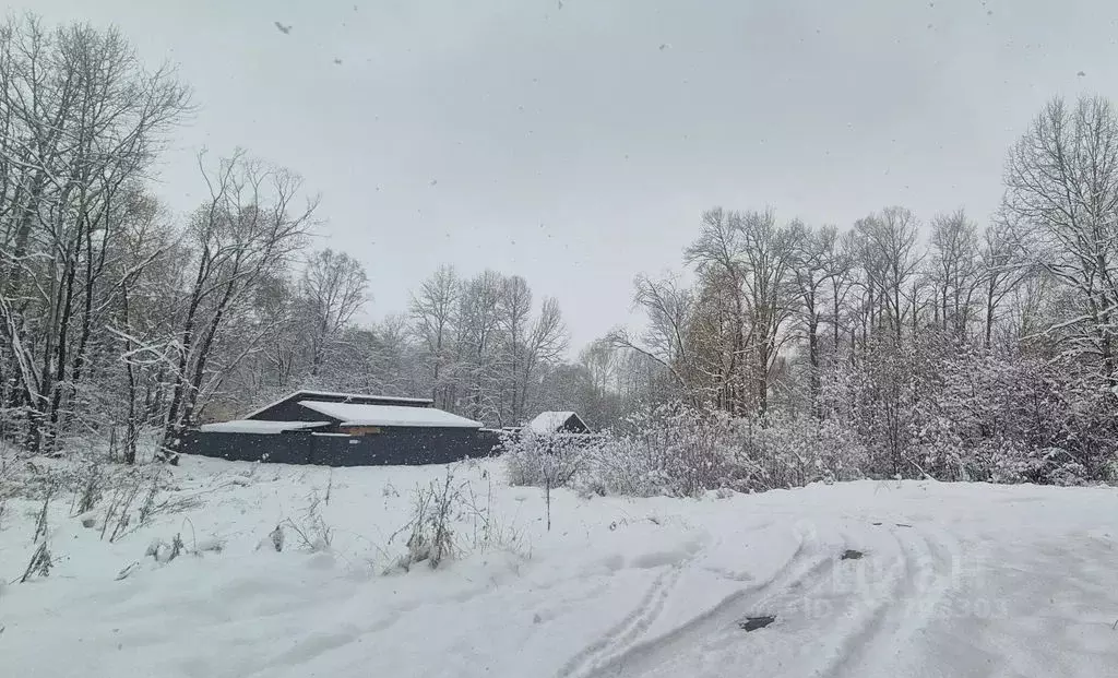 Дом в Иркутская область, Байкальск г. Слюдянский район, Байкальское ... - Фото 1