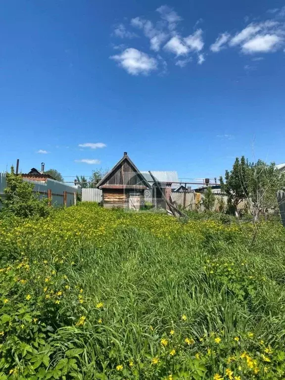 Участок в Саратовская область, Вольский район, Терсинское ... - Фото 1