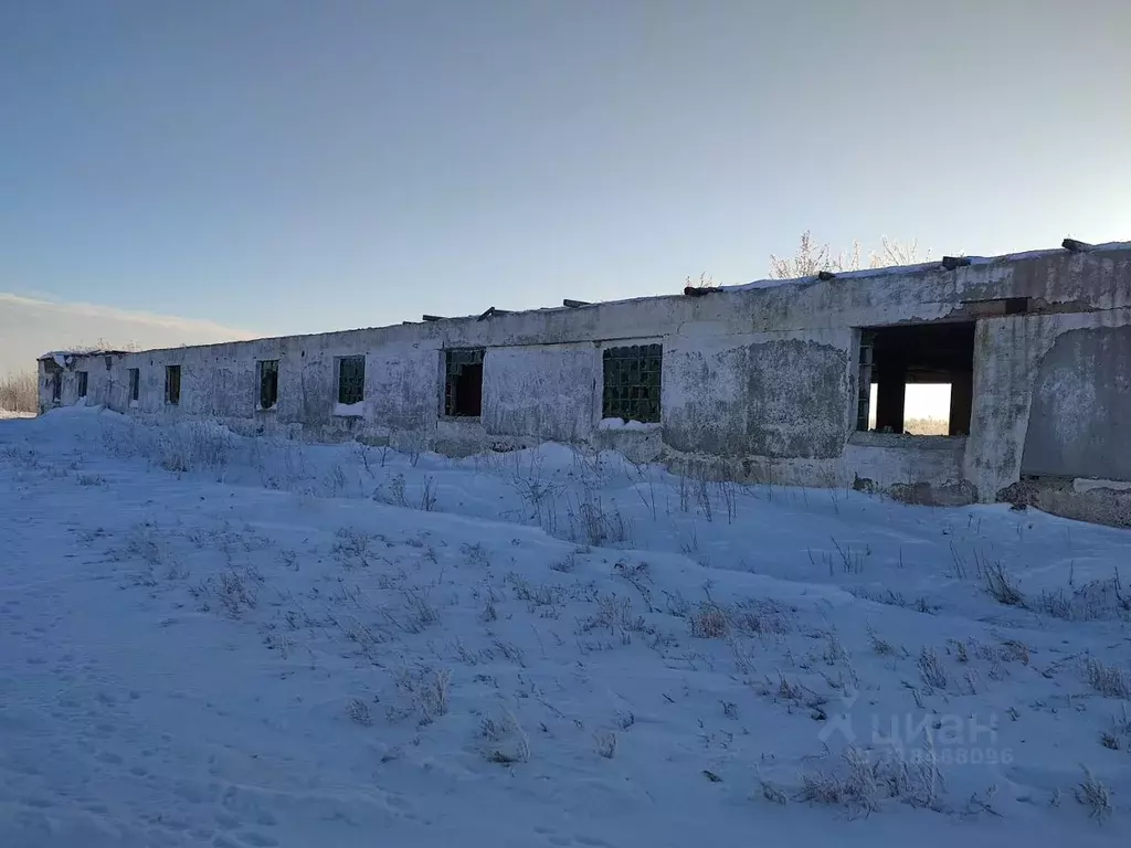 Помещение свободного назначения в Челябинская область, Карталинский ... - Фото 0