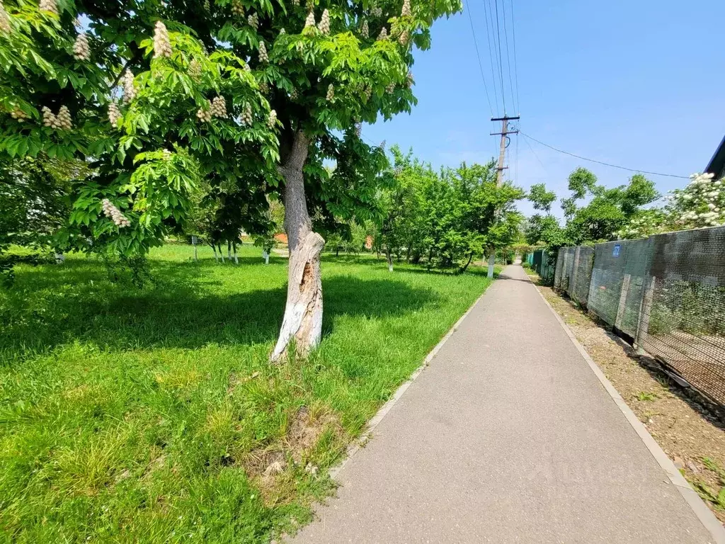 Участок в Краснодарский край, Северская ст-ца ул. Ленина (6.43 сот.) - Фото 1