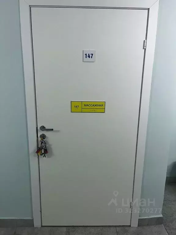 Помещение свободного назначения в Ленинградская область, Кингисепп ул. ... - Фото 1