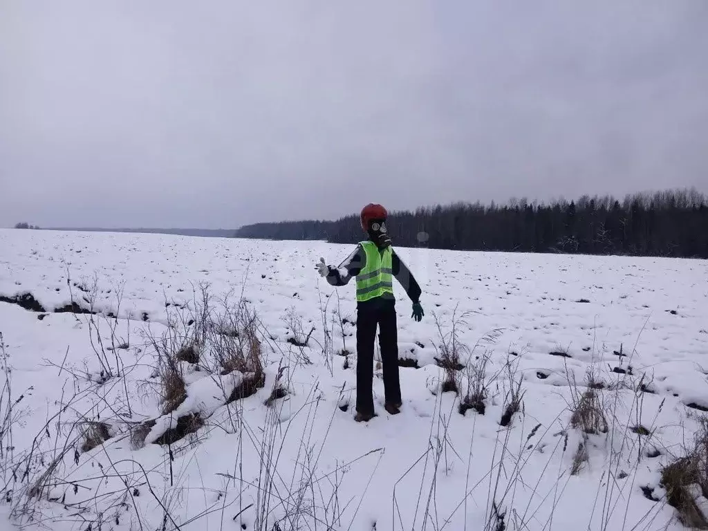 Участок в Ленинградская область, Волховский район, Колчановское с/пос, ... - Фото 1