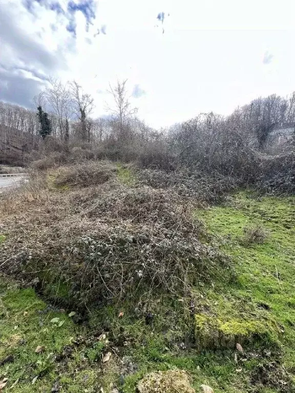 Участок в Краснодарский край, Сочи Головинка мкр, ул. Центральная (3.0 ... - Фото 1