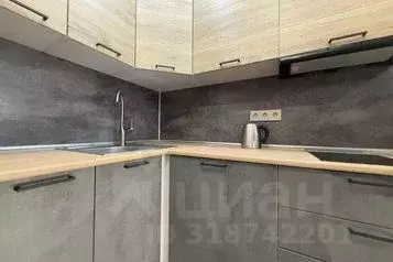1-к кв. Свердловская область, Екатеринбург ул. Азина, 22/7 (29.0 м) - Фото 0