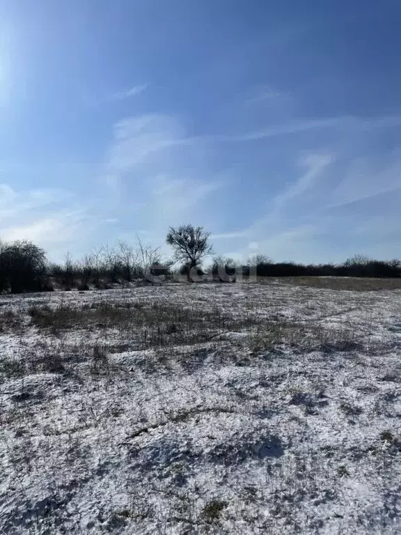 Участок в Краснодарский край, Ейский район, Кухаривское с/пос, с. ... - Фото 2