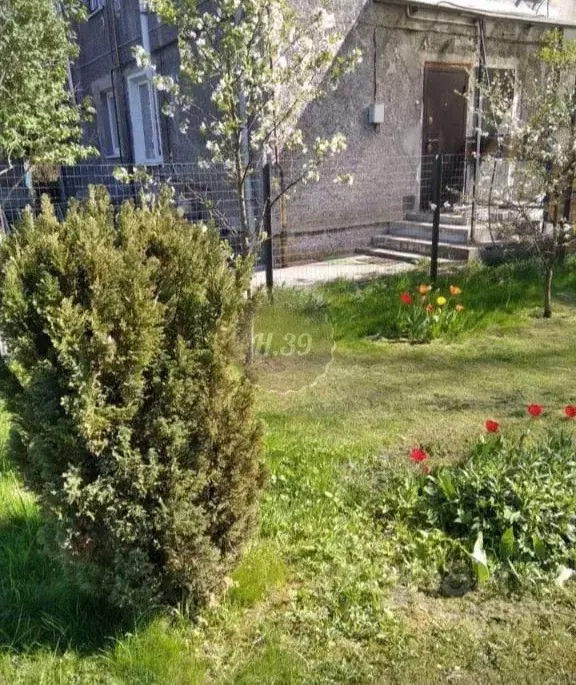 2-к кв. Калининградская область, Калининград Александра ... - Фото 1