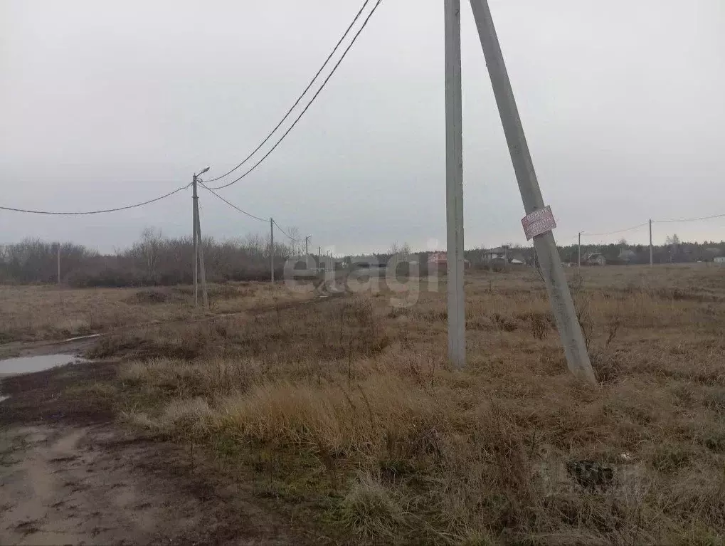 Участок в Воронежская область, Рамонский район, Новоживотинновское ... - Фото 0