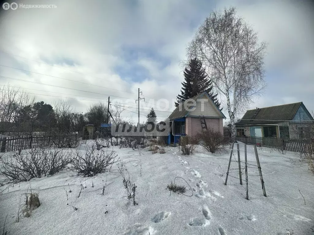 Дом в Омск, ТСН СНТ Молния (16.7 м) - Фото 2