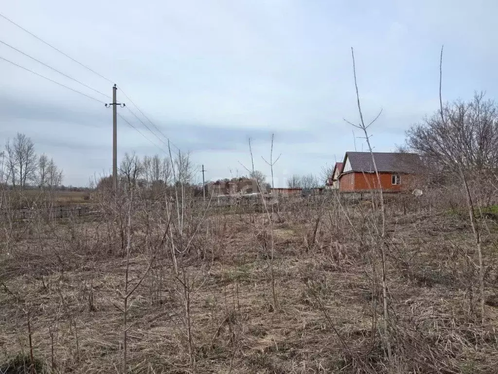 Участок в Башкортостан, Аургазинский район, Меселинский сельсовет, д. ... - Фото 0