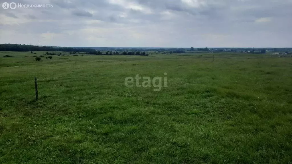 Участок в Камышловский район, Галкинское сельское поселение, село ... - Фото 0