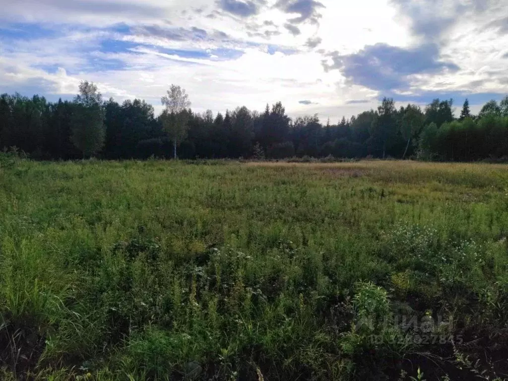Участок в Тверская область, Калининский муниципальный округ, д. ... - Фото 1