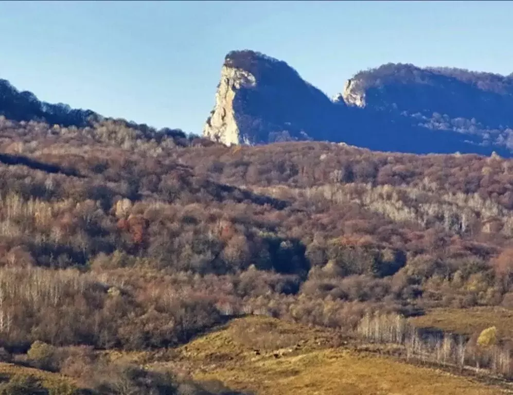 Участок в Краснодарский край, Лабинский район, Ахметовская ст-ца ул. ... - Фото 1