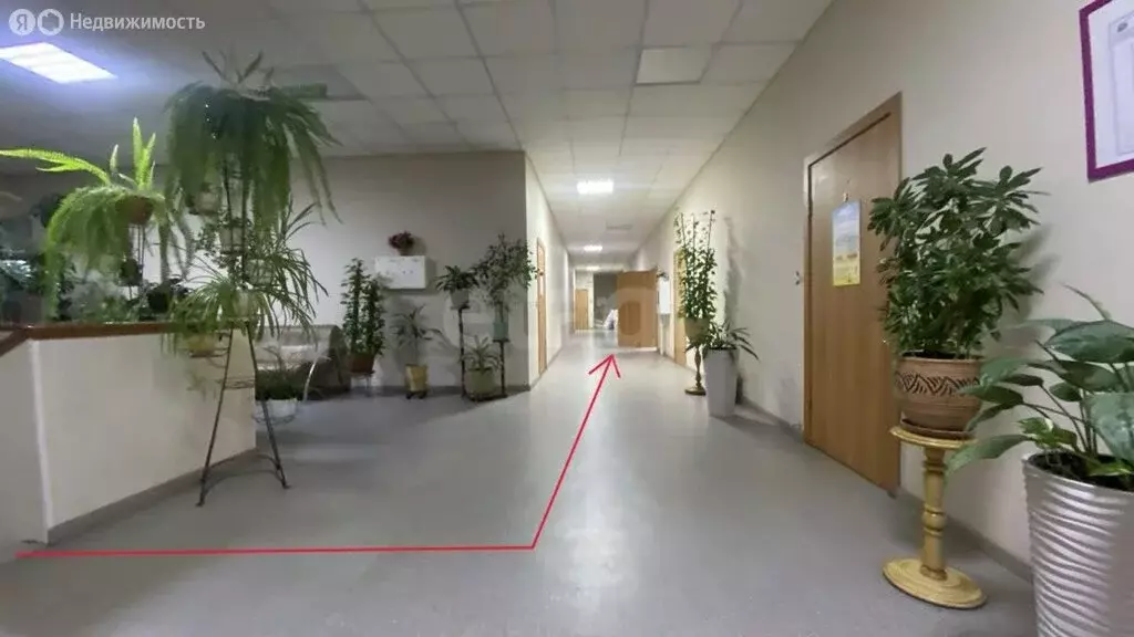 Офис (33 м) - Фото 2