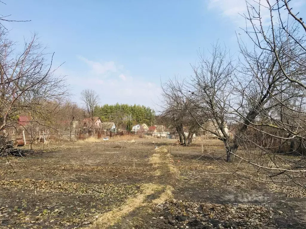Купить Участок В Воронеже Рамонский Район