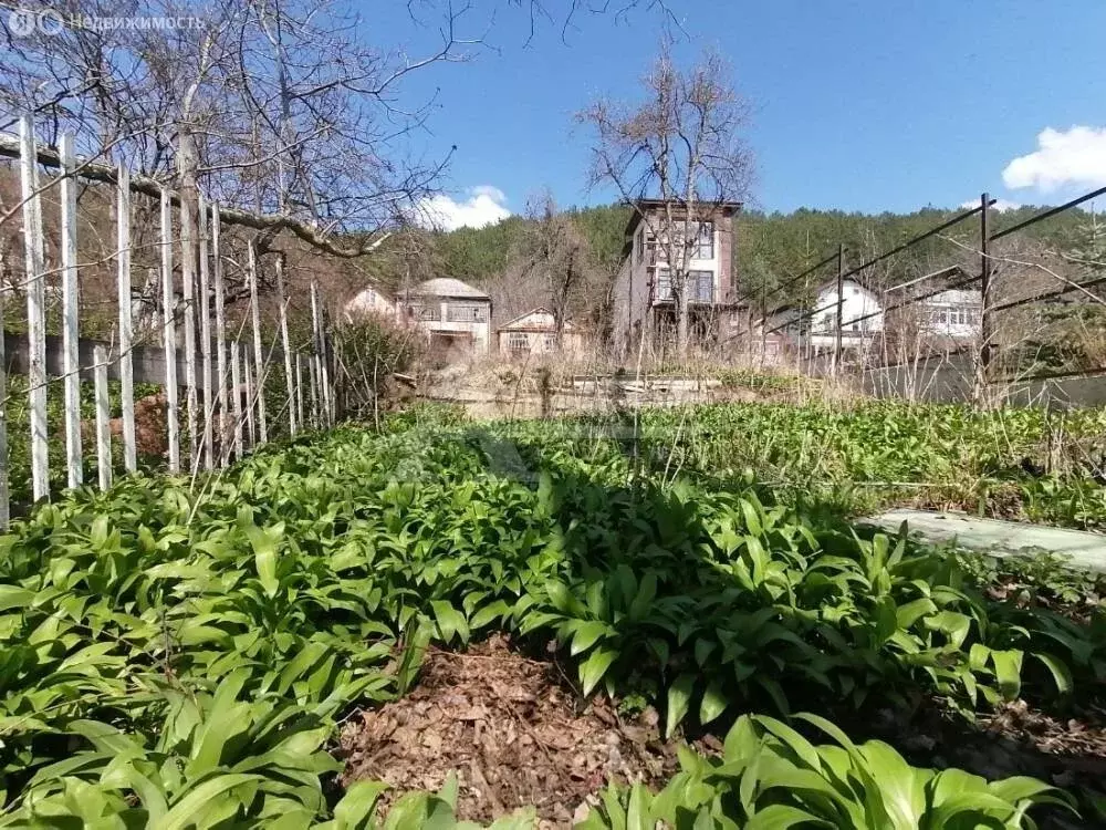 Участок в Ставропольский край, городской округ Кисловодск, посёлок ... - Фото 2