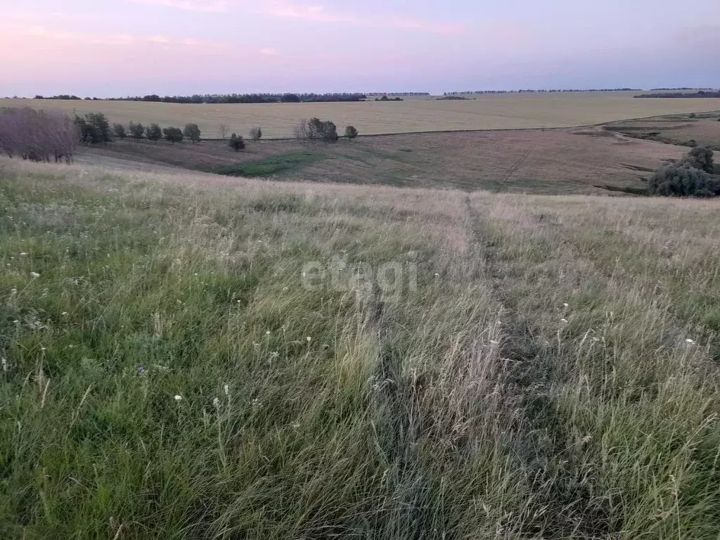Участок в Белгородская область, Валуйки (1660.0 сот.) - Фото 0