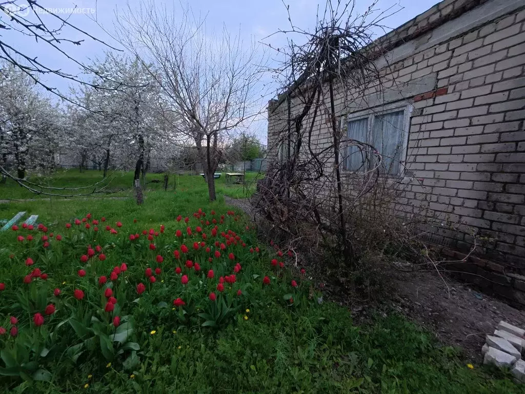 Дом в Волгоград, СНТ Горчичник, Абрикосовая улица (33.9 м) - Фото 1