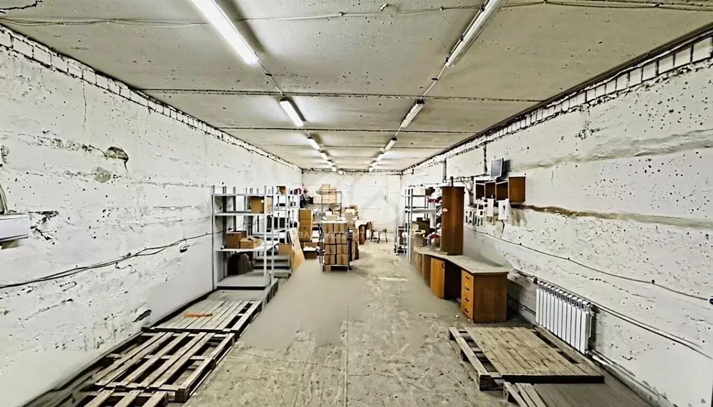 Склад в Новосибирская область, Новосибирск ул. Петухова, 51/3 (245 м) - Фото 1