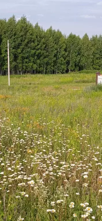 Участок в Татарстан, Казань ул. Германа Одноценова, 17 (15.0 сот.) - Фото 1