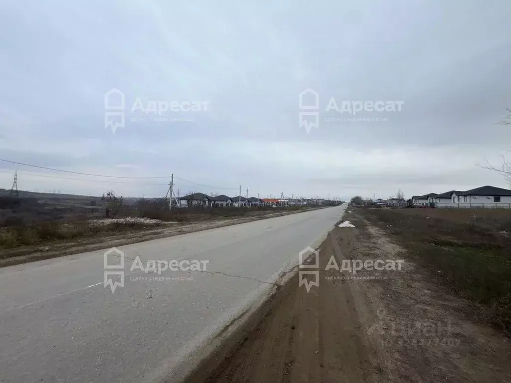 Участок в Волгоградская область, Городищенский район, Царицынское ... - Фото 2