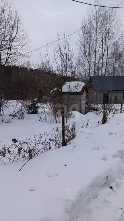 Участок в Алтай, Горно-Алтайск Алтай-4 СНТ, 113 (7.4 сот.) - Фото 1