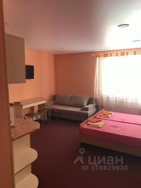 1-к кв. Челябинская область, Чебаркуль Санаторий Сосновая Горка тер., ... - Фото 0