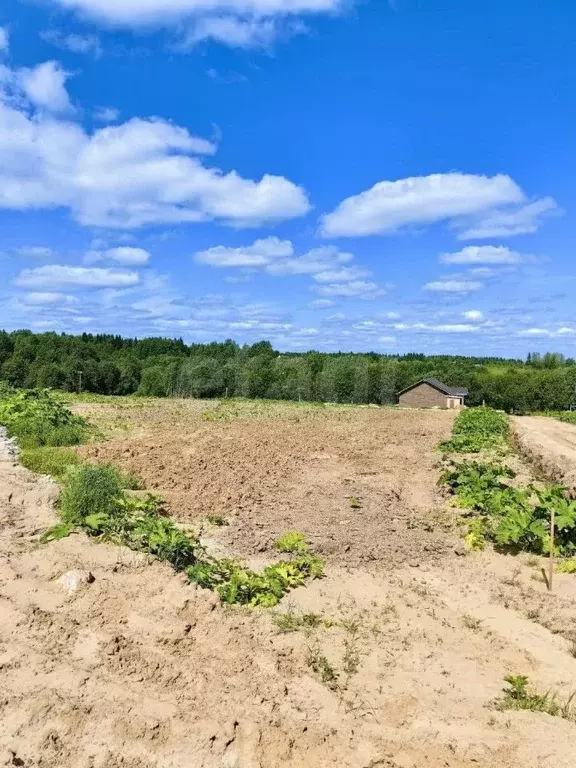Участок в Коми, Сыктывдинский район, с. Выльгорт ул. Троицкая (9.4 ... - Фото 0