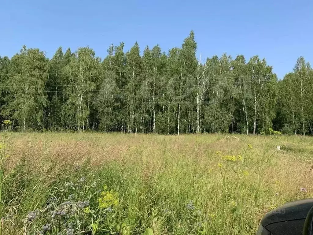 Участок в Тюменская область, Тюменский муниципальный округ, с. ... - Фото 2