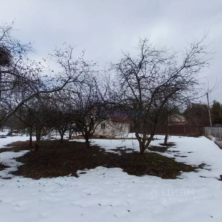 Участок в Нижегородская область, Володарский муниципальный округ, с. ... - Фото 1