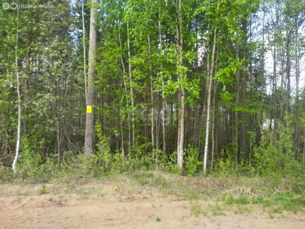 Участок в посёлок городского типа Верхняя Максаковка, микрорайон ... - Фото 1