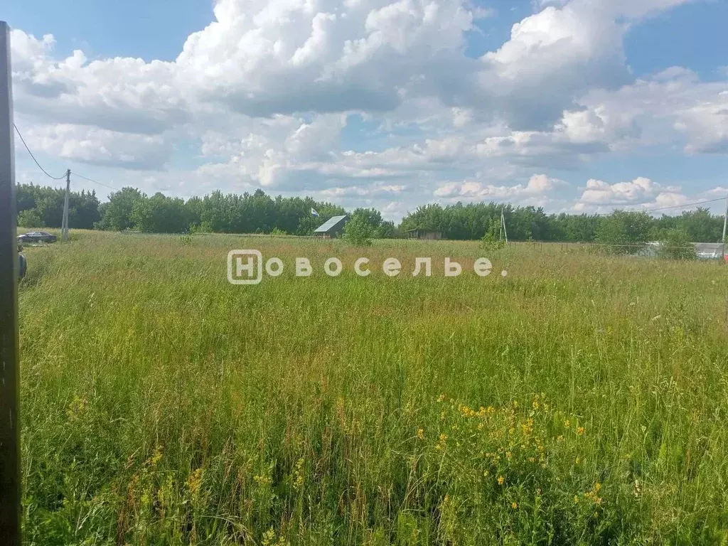 Участок в Рязанская область, Рязанский муниципальный округ, с. Глебово ... - Фото 2