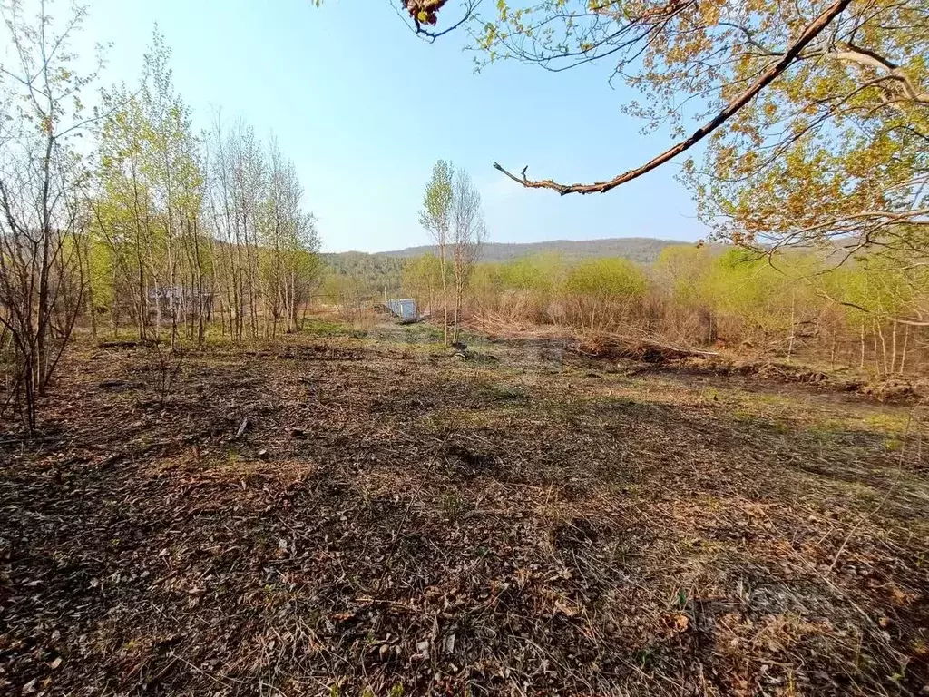 Участок в Приморский край, Артем Родник-1 СНТ, ул. Центральная (10.0 ... - Фото 0