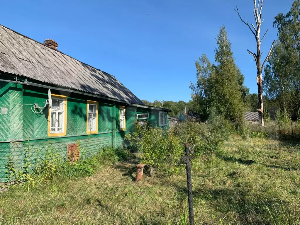 Ижс новгородская область. Деревня Болтово Солецкий район. Сосновка Солецкий район Новгородская область. Михалкино Солецкий район деревня. Деревня Крапивно Солецкий район.