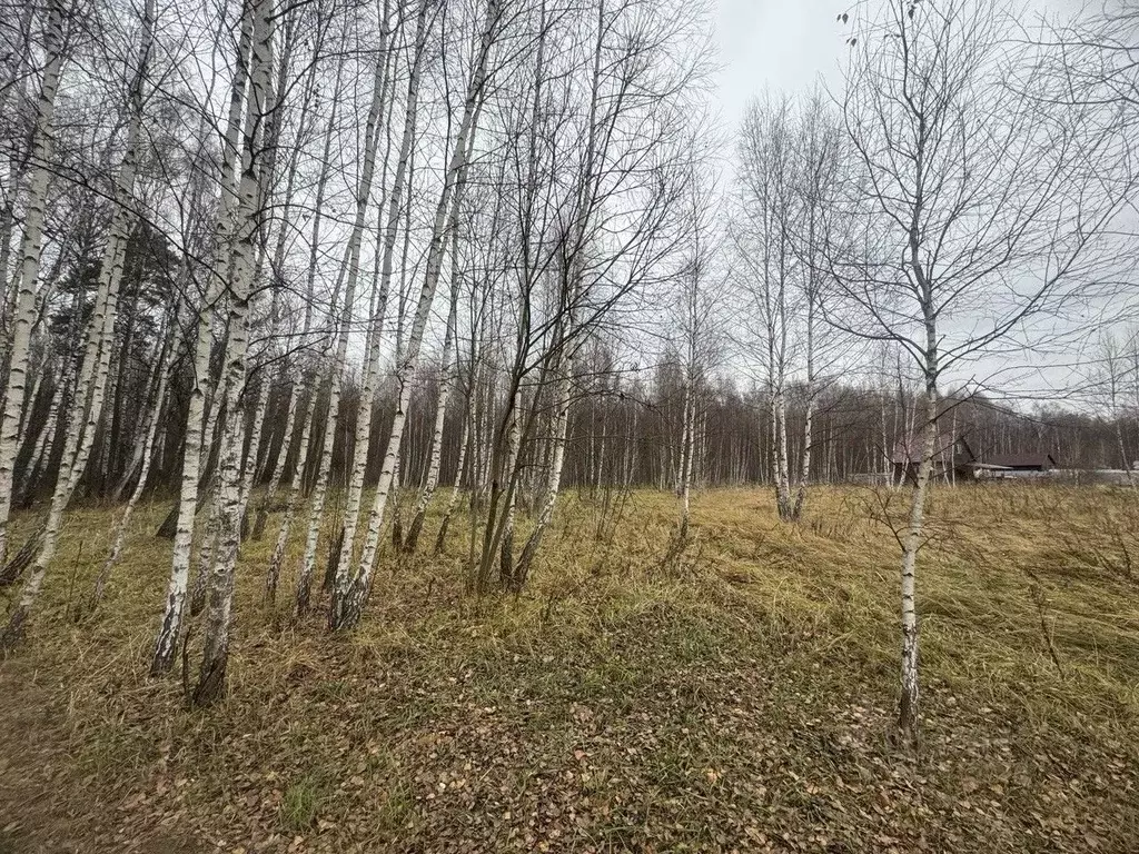 Участок в Московская область, Серпухов городской округ, пос. Оболенск  ... - Фото 0