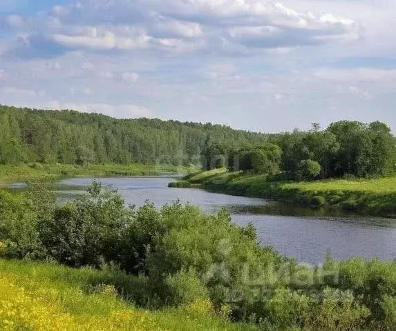Участок в Калужская область, Жуковский муниципальный округ, Тарутино ... - Фото 1